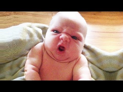 try-not-to-laugh-with-funniest-angry-baby-😠-funny-baby-videos