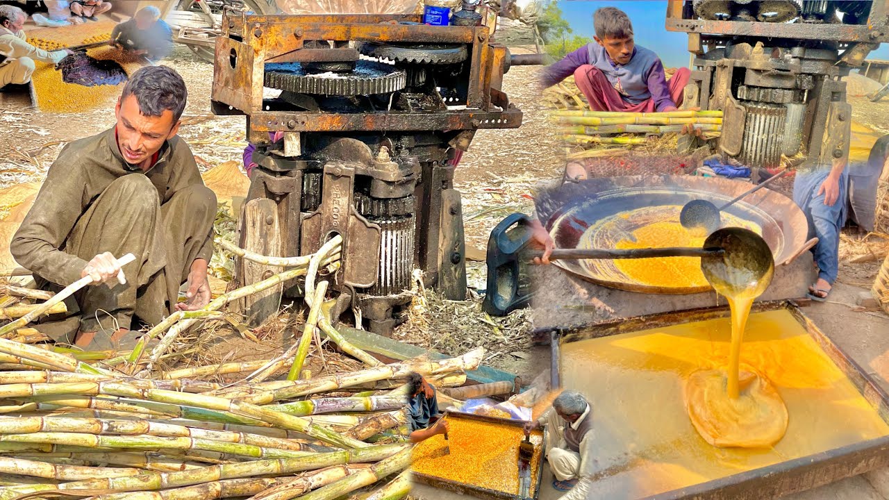 Dry Fruits Mixed with Jaggery | Homemade Natural Sweet Process