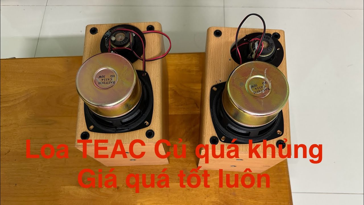 The TEAC LSR-100 speakers, a premium Japanese brand, deliver