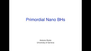 Primordial Nano Black Holes