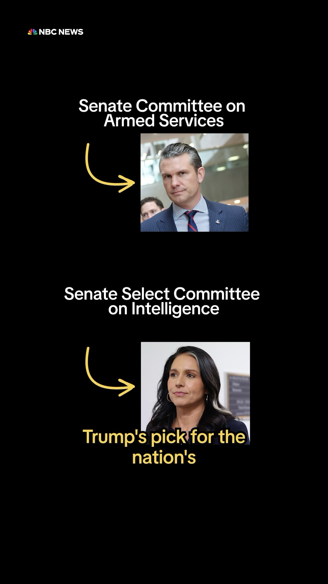 Trump’s cabinet picks will soon go through the Senate confirmation process. Here's how it works.