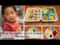 What my toddler eats in a week - Wednesday | 幼儿餐一周记 - 周三