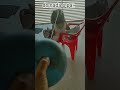 dia de perturba ela