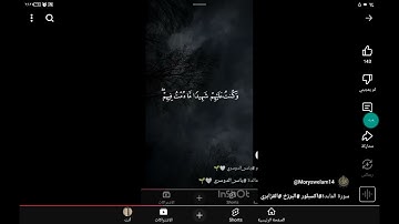 سورة المائدة و الشيخ ياسر الدوسري #المصحف #اكسبلور #قرآن #المصحف #الله #القرآن_الكريم