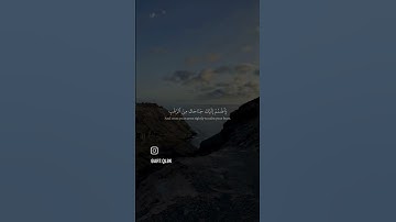 #القرآن_الكريم #تلاوات_خاشعة #تلاوة_مميزة #قرآن_كريم #راحة_نفسية #يارب #ياسر_الدوسري #quran #قرآن