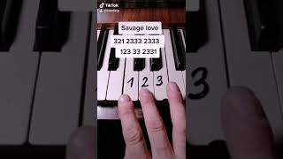 ساويج لاف  savage love