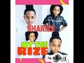 SHARIZE - HIT THE RIZE