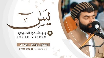 سورة يس كاملة تلاوة مريحة وهادئة بصوت بيشةوا قادر الكردي رمضان 2024-surah yasin peshawa kurdi