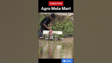 Rice transplanter machine 4 row 3 @agromelamart