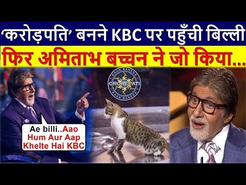 करोड़पति-बनने-के-लिए-kbc-पर-पहुँची-बिल्ली,फिर-अमिताभ-बच्चन-ने-जो-किया...