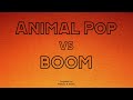 Animal Pop / Boom (Matisse &amp; Sadko Mashup)