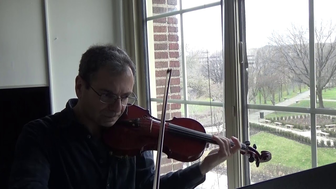 David Macbride | From a Rose Garden