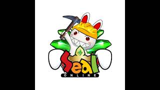 Suffle: Guild war Hall [24APRIL 2026]