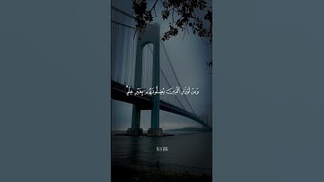 (ليحملوا أوزارهم كاملة يوم القيامة ومن أوزار الذين يضلونهم بغير علم ألا سآء ما يزرون) سورة النحل