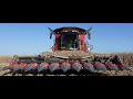 Moisson mas grain 2020  case ih 7250  10 rangs