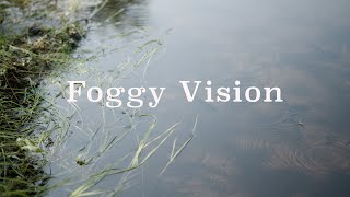Foggy Vision - Saltbreaker + The Lasso - Official Video