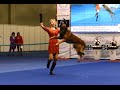 Танцы с собаками "Евразия - 2015". Dog Dancing. Canine Freestyle.