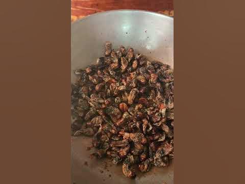 Crispy and Delicious Pinoy Exotic Food Abaling/Beetle Worm #food # ...