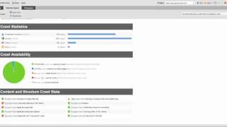 Website Auditor Overview and Review
