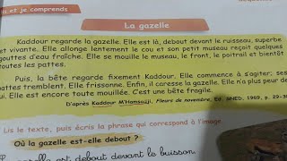 درس اللغة الفرنسية للسنة الخامسة ابتدائي ص 15 la gazelle