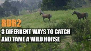 RED DEAD REDEMPTION 2 - 3 DIFFERENT WAYS TO CATCH AND TAME A WILD HORSE