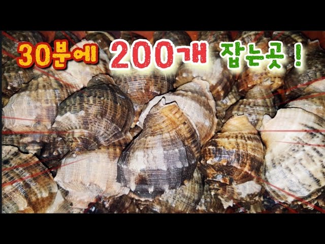 8월 8일 서울 경기에서 포인트까지 40분거리 통제없고 30분에 200개 잡는 기막힌 포인트!