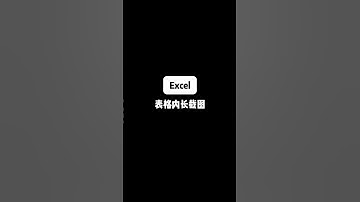 Excel 表格内长截图 #Excel #excel技巧 #办公技巧 #文员