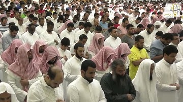 أفغير دين الله يبغون | سورة آل عمران | ناصر القطامي
