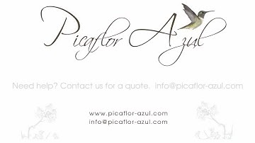 Easy Help Zen Cart Tutorial: Secure Your Site With Admin Password Security