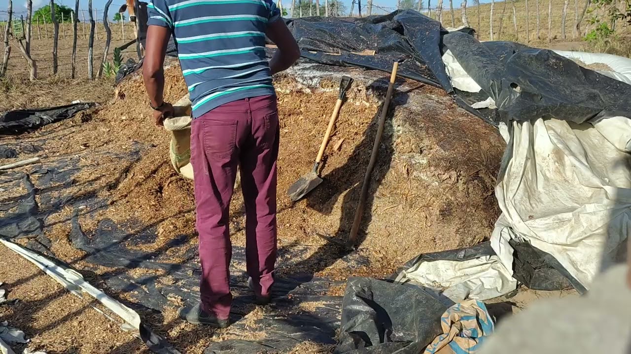 Quem se previne no inverno, na estiagem tem!