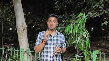 BBA, BCA and BFA Admission Process In MS University ( MSU Baroda) #msuniversity #msubaroda #msu