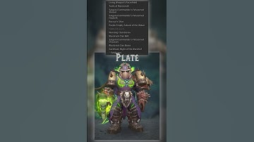 TRANSMOGS -  Plate "Fel-Touched" #worldofwarcraft #transmogs #warwithin