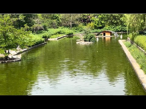 Софийский зоопарк ,Болгария #lifestyle #travel #софия#путешествие#животные#bulgaria #zoopark #sofia