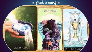 You NEED To Know This NOW!.✨👆👀🌙✨Pick a card⎜Timeless Reading