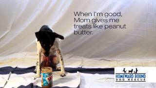 Im A Rescue 0:50 - ICM508 PSA Project