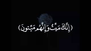 إِنَّكَ مَيِّتٌ وَإِنَّهُم مَّيِّتُونَ حالات واتس اب دينية القرآن الكريم❤️😇