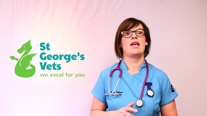 Ruth Walker - Consulting Nurse At St. George's Vets.