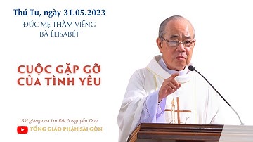 Cuộc gặp gỡ của tình yêu - Lm Rôcô Nguyễn Duy | Đức Mẹ thăm viếng bà Êlisabét