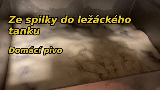 Vaření domácího piva | domácí pivovar - ze spilky do ležáckého tanku.