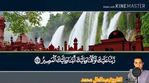 مقطع قصير من سورة الممتحنة/تقليد الشيخ حجاج الهنداوي⁦❤️⁩⁦❤️⁩