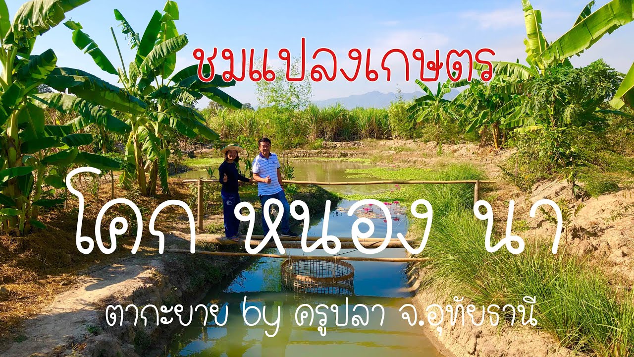 โคกหนองนา ตากะยาย อุทัยธานี I by นายโต้รุ่ง#MrTORUNG ChilLax I