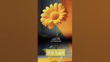 سورة غافر #quran #دويتو #دعاء #duet #صباحالخير #تيك_توك #دعاءمستجاب #لايك #حالاتواتس #حالات_واتس