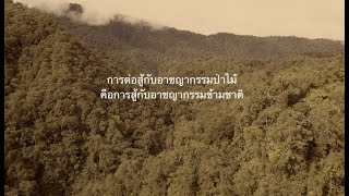 การต่อสู้กับอาชญากรรมป่าไม้ คือการสู้กับอาชญากรรมข้ามชาติ