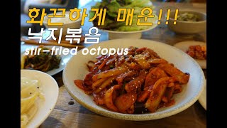 [SUB] 간단한 한끼, '화끈하게 매콤한' 낙지볶음 Stir-fried octopus l DAMDA EAT 담다잇
