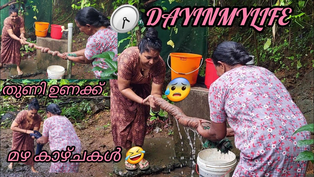 🏡🌞Well pland വീട്ടമ്മ വീട്ടിൽ ചെയ്തു തീർക്കുന്ന കാര്യം#Kerala#