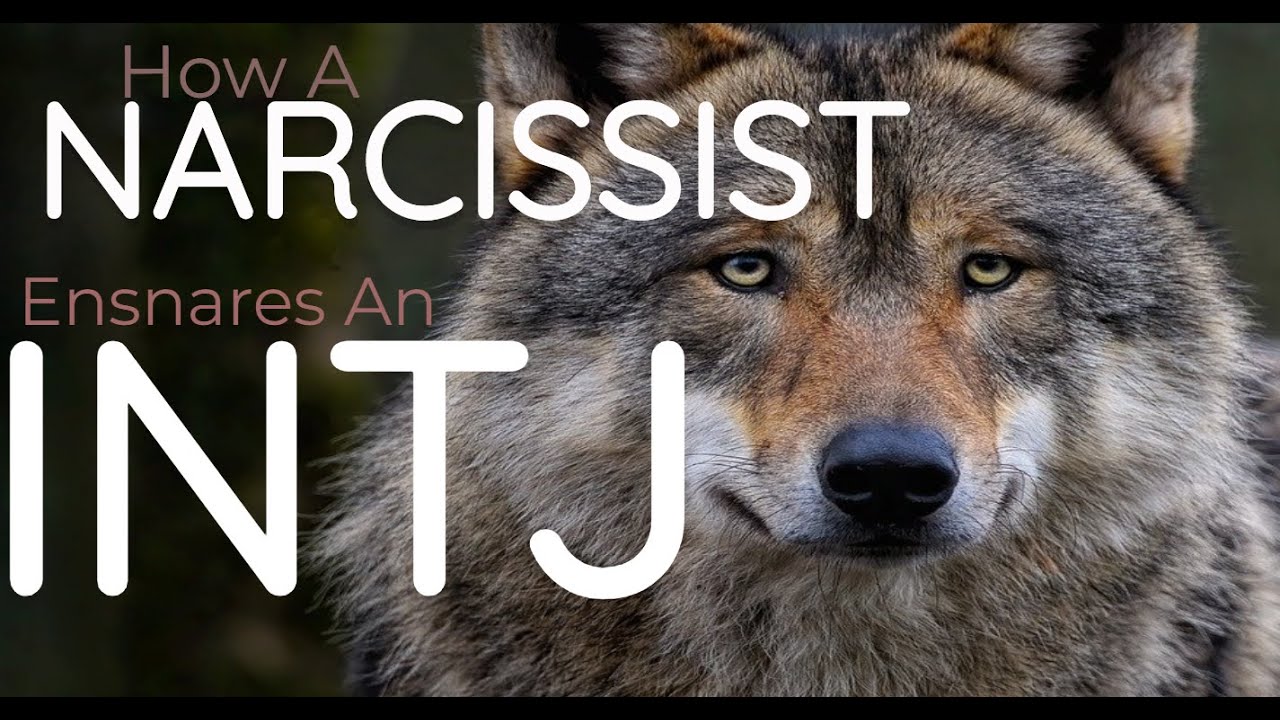 How a NARCISSIST traps an INTJ?