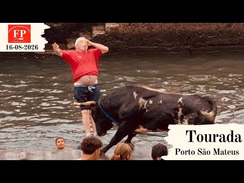 Tourada à corda no Porto de Pescas, Vila de São Mateus, São Mateus, 16 de agosto de 2026