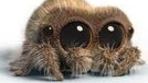 2 hackers in one server [arsenal]