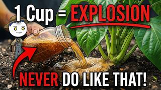 One Cup of Fermented Ash Makes Plants Grow CRAZY Fast, But Why Does Nobody Talk About This