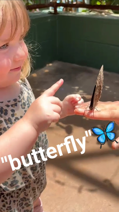 FIRST time to the butterfly museum🦋